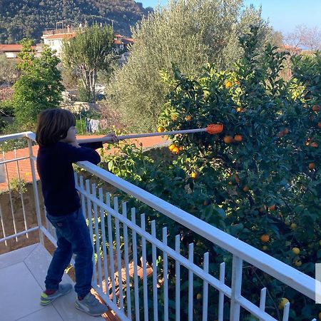 La Terrazza Family Holidays - Sorrento Coast Sant'Agnello Bagian luar foto