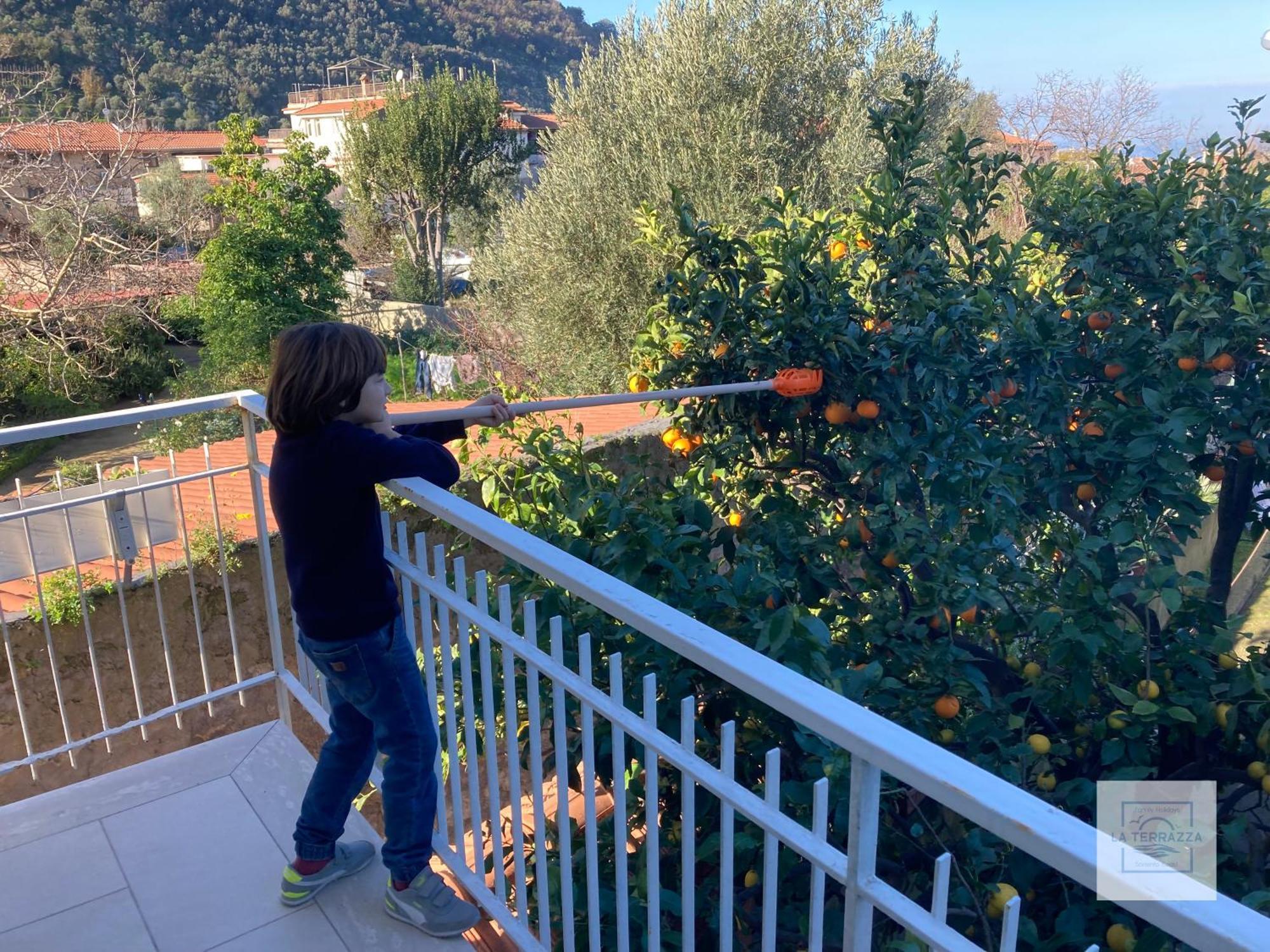 La Terrazza Family Holidays - Sorrento Coast Sant'Agnello Bagian luar foto